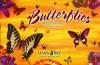 Butterflies Blank Card Assortment
