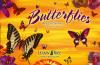 Butterflies Blank Card Assortment