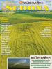 Sedona Journal of Emergence September 2010