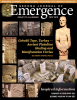 Sedona Journal of Emergence May 2019