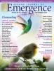Sedona Journal of Emergence September 2020